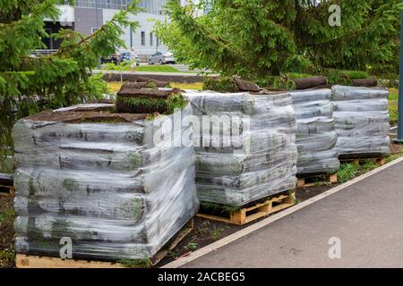 Des piles de rouleaux de gazon pour nouvelle pelouse à l'aménagement paysager. Gazon en rouleaux sur des palettes à l'encontre de la rue. roula pelouse est prêt pour la pose Banque D'Images