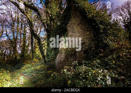 Le reste de la région d'Hill Manor House à Colan Woods, les motifs de la végétation sapin historique Hill Estate à Colan paroisse à Newquay en Cornouailles. Banque D'Images