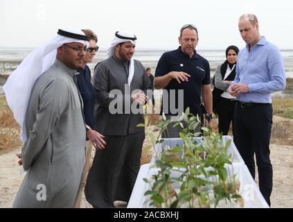 Le duc de Cambridge (à droite) avec le cheikh Abdullah Ahmad Al-Sabah Al-Humoud, Directeur de l'autorité publique de l'environnement (EPA) (troisième à droite), lors de sa visite à Koweït City, les terres humides à la Réserve Naturelle de Jahra pour en savoir plus sur les projets du pays de protéger son environnement naturel et humain de l'environnement, dans le cadre de sa tournée du Koweït et l'Oman. PA Photo. Photo date : lundi 2 décembre 2019. Voir PA story Tournée royale. Crédit photo doit se lire : Andrew Matthews/PA Wire Banque D'Images