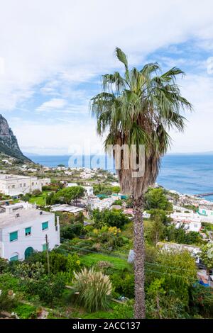 Vue de la ville de Capri en direction de Marina Grande, Capri, Italie Banque D'Images