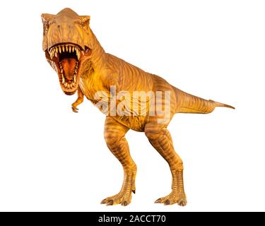 Tyrannosaurus rex ( T-rex ) est la marche et ouvrir la bouche . Vue de face . Isolé blanc fond . Dinosaure dans Jurassic peroid . Chemins de détourage intégré Banque D'Images