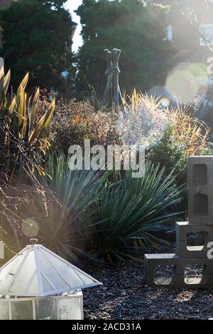 Petite cloche en contre-jour d'un jardin d'hiver. Banque D'Images