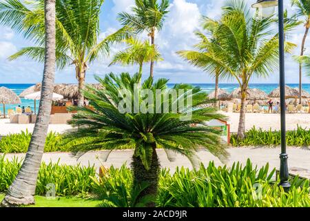 Punta Cana, République dominicaine - 21 octobre 2019 : Belle plage de Punta Cana, République dominicaine. Banque D'Images