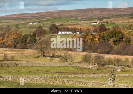 Un paysage typique de la région de Teesdale à travers la vallée du nord-ouest à l'est le frère de Holwick House Farm Banque D'Images