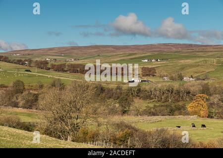 Un paysage typique de la région de Teesdale à au nord-ouest à travers la vallée en Ettersgill, sur une belle journée de fin d'automne Banque D'Images