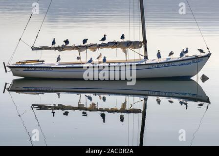 Un bateau à voile sur le lac d'Ohrid à Peshtani dans le Nord de la Macédoine, de l'Europe. Banque D'Images