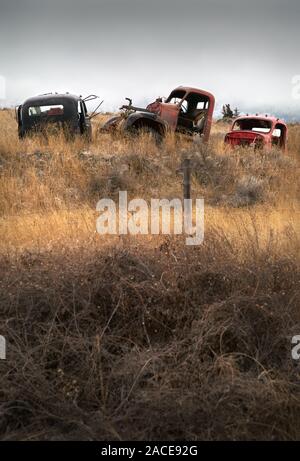 Des voitures abandonnées terres agricoles. Vieux camions abandonnés dans le nord-ouest du Pacifique. Banque D'Images