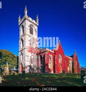 Une image d'automne de Liberton avec Kirk sa vigne rouge sur le côté de l'édifice de l'église. Banque D'Images