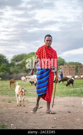 Même, la Tanzanie, 11 juin 2019 : guerrier Masaï dans son village ou boma Banque D'Images