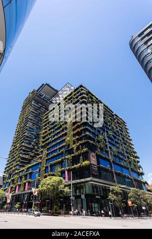 Vue générale montrant l'un Central Park qui est construit autour de Chippendale vert, Sydney. Le bâtiment lui-même a été conçu par l'arc Parisien Banque D'Images