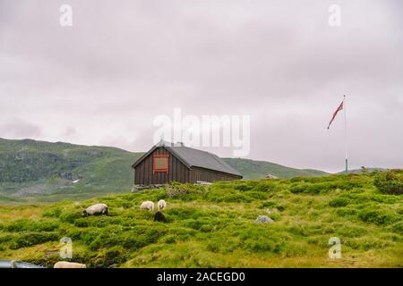 En bois cabane col de montagne refuges de montagne en Norvège. Paysage norvégien avec des maisons aux toits d'herbe typiquement scandinave. Village de montagne avec de petites maisons Banque D'Images