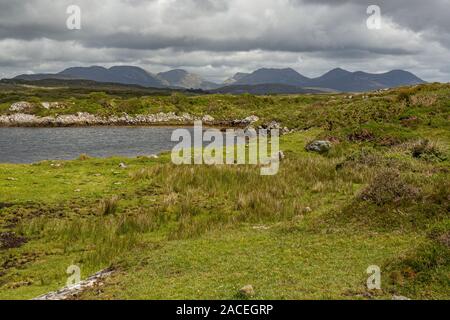 Petite partie de l'Adbear salt lake entouré par de la végétation verte et les montagnes en arrière-plan, le printemps avec ciel couvert à Clifden Banque D'Images