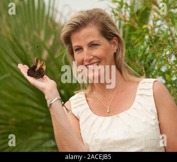 Sophie comtesse de Wessex au butterfly dome dans le patrimoine végétal chapiteau au Hampton Court Flower Show en 2013. Banque D'Images