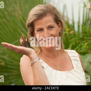Sophie comtesse de Wessex au butterfly dome dans le patrimoine végétal chapiteau au Hampton Court Flower Show en 2013. Banque D'Images