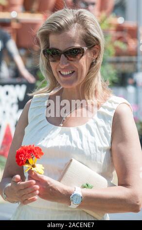 Sophie comtesse de Wessex au butterfly dome dans le patrimoine végétal chapiteau au Hampton Court Flower Show en 2013. Banque D'Images