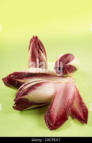Endives rouge belge witloof ou isolé sur fond vert Banque D'Images