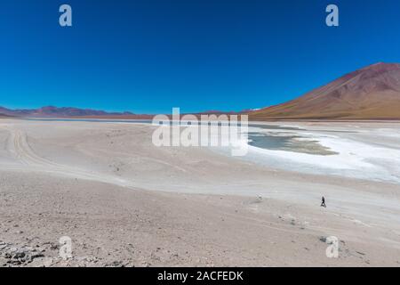 Laguna Blanca, Reserva Nacional de Fauna Andina Eduardo Avaroa, le sud de l'Altiplano, Département de Potosí, au sud-ouest de la Bolivie, de l'Amérique latine Banque D'Images