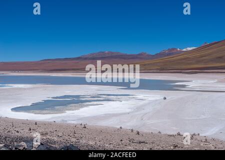 Laguna Blanca, Reserva Nacional de Fauna Andina Eduardo Avaroa, le sud de l'Altiplano, Département de Potosí, au sud-ouest de la Bolivie, de l'Amérique latine Banque D'Images