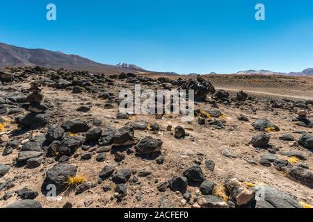 Sur les rives de la Laguna Blanca, Reserva National de la faune andine Eduardo Avaroa, Département de Potosí, au sud-ouest de la Bolivie, de l'Amérique latine Banque D'Images