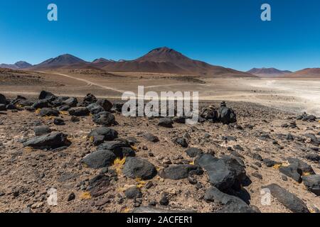 Rives de la Laguna Blanca, parc national ou réserve nationale de faune andine Eduardo Avaroa, Département de Potosí, au sud-ouest de la Bolivie, de l'Amérique latine Banque D'Images