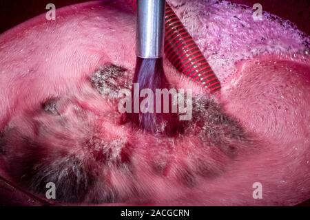 La vallée de Montalcino, Sienne, vignoble de luxe et à la culture de raisins, de traitement et de soins dans le pays de rouge et blanc vins toscans comme Brunello Banque D'Images