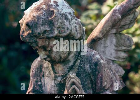 Une vue majestueuse de statue d'un petit ange sur un fond de feuillage foncé. Scène inhabituelle spectaculaire. Statue de beauté. Banque D'Images