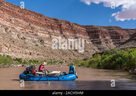 Une famille voyage de rafting dans le canyon de la Rivière San Juan, dans le sud-est de l'Utah, USA. Banque D'Images