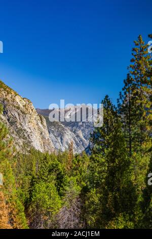 Vues le long de la Kings Canyon Scenic Byway, SR 180, à travers le Séquoia géant National Monument, Sequoia National Forest, Californie, USA Banque D'Images