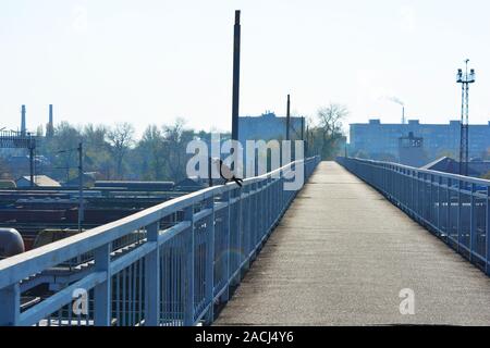 Un noir corbeau solitaire est assis sur la rambarde d'un pont en béton armé gris sur une jonction de chemins de fer et les trains de marchandises éclairées par un soleil éclatant. Banque D'Images