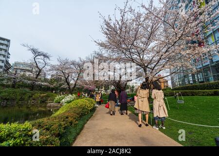 TOKYO, JAPON - 25 mars 2019 : visite des personnes non identifiées, le cherry blossom at Roppongi Mori jardin à Tokyo, Japon Banque D'Images