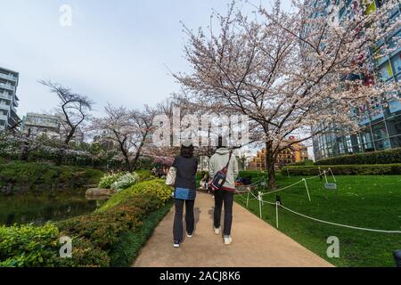 TOKYO, JAPON - 25 mars 2019 : visite des personnes non identifiées, le cherry blossom at Roppongi Mori jardin à Tokyo, Japon Banque D'Images