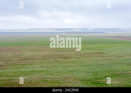 Paysage d'automne en un jour brumeux. vert champs agricoles sous ciel nuageux gris Banque D'Images