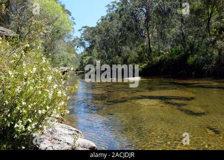 Karloo Pool est une piscine populaire et pique-niquer situé dans la région de Royal National Park au sud de Sydney, Australie Banque D'Images