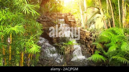 Cascade dans le jardin tropical de décoration avec du bambou et plantes exotical Banque D'Images