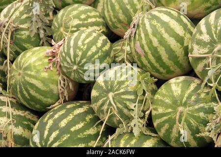 Les melons frais dans le marché Banque D'Images