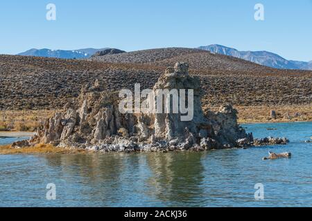 Tours de tuf, Calcium-Carbonate Flèches et boutons. Lac Mono, Californie Banque D'Images