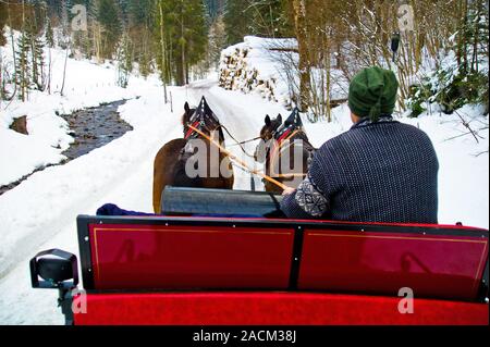 Balade en carriole tirée par des chevaux en hiver Banque D'Images