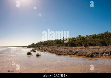 Lake Clifton, l'ouest de l'Australie, la côte du soleil sur l'eau et le fond de ciel bleu clair Banque D'Images