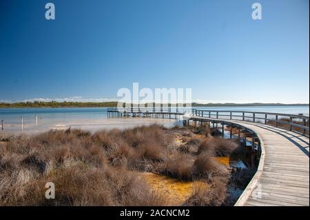 Promenade ou pont d'observation pour l'affichage des Thrombolites antique au lac Clifton, l'ouest de l'Australie. Banque D'Images