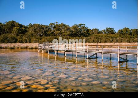 Ancienne Thrombalites au lac Clifton, l'ouest de l'Australie avec fond de ciel bleu clair Banque D'Images