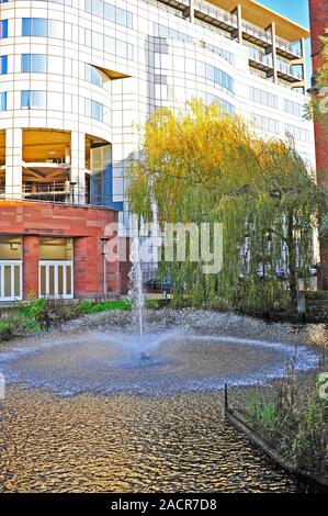 Barbirolli Square pond eco (menant à la p16) dans le centre-ville de Manchester Banque D'Images