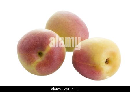 Trois abricots turc sur fond blanc Banque D'Images