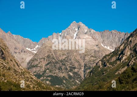 Barre des Écrins (4102 m) à l'été vu de la route D530, Parc National des Ecrins, l'Isère (38), Région Provence-Alpes-Côte d'Azur, France Banque D'Images