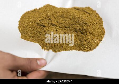 L'oriental spice Ras el hanout, masse Banque D'Images
