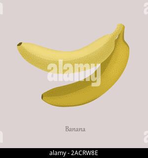 Sweet bananes fruits tropicaux. Ripe banane jaune. Illustration de Vecteur