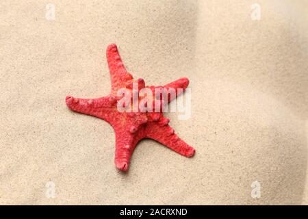 L'étoile rouge sur un fond de sable. Banque D'Images