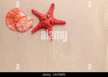 L'étoile rouge sur fond de sable et de shell Banque D'Images