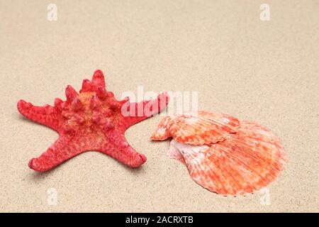 L'étoile rouge sur fond de sable et de shell Banque D'Images