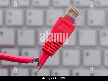 Câble réseau défectueux sur clavier Banque D'Images