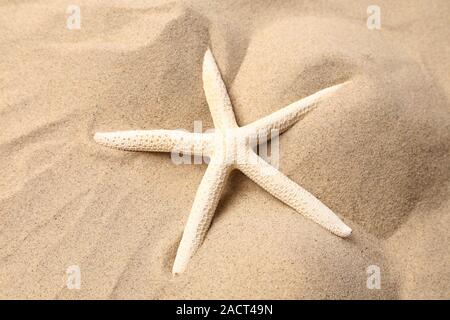 L'étoile blanche sur un fond de sable. Banque D'Images